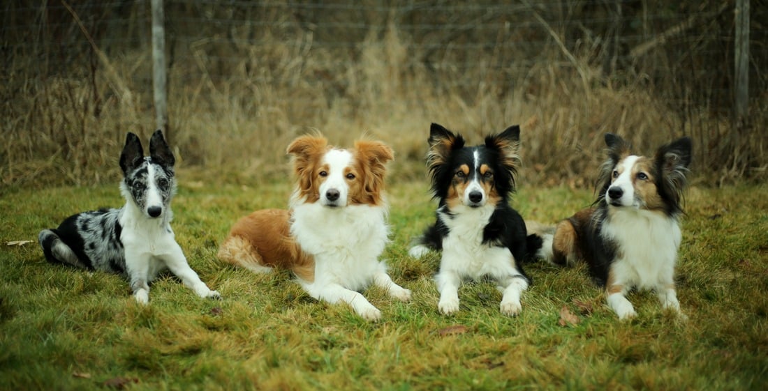 gruppenbild_2022