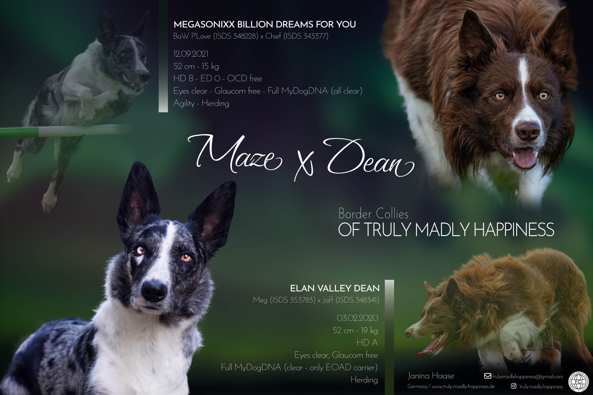 mazeXdean mazeXdean